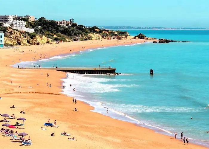 Vandalou By Alzira Albufeira